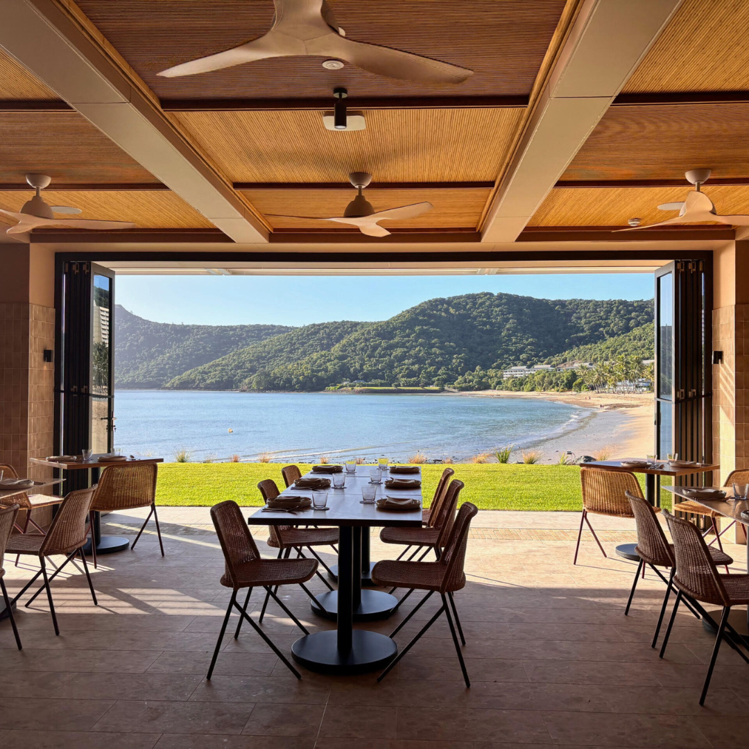 hamilton island stained bamboo screens 