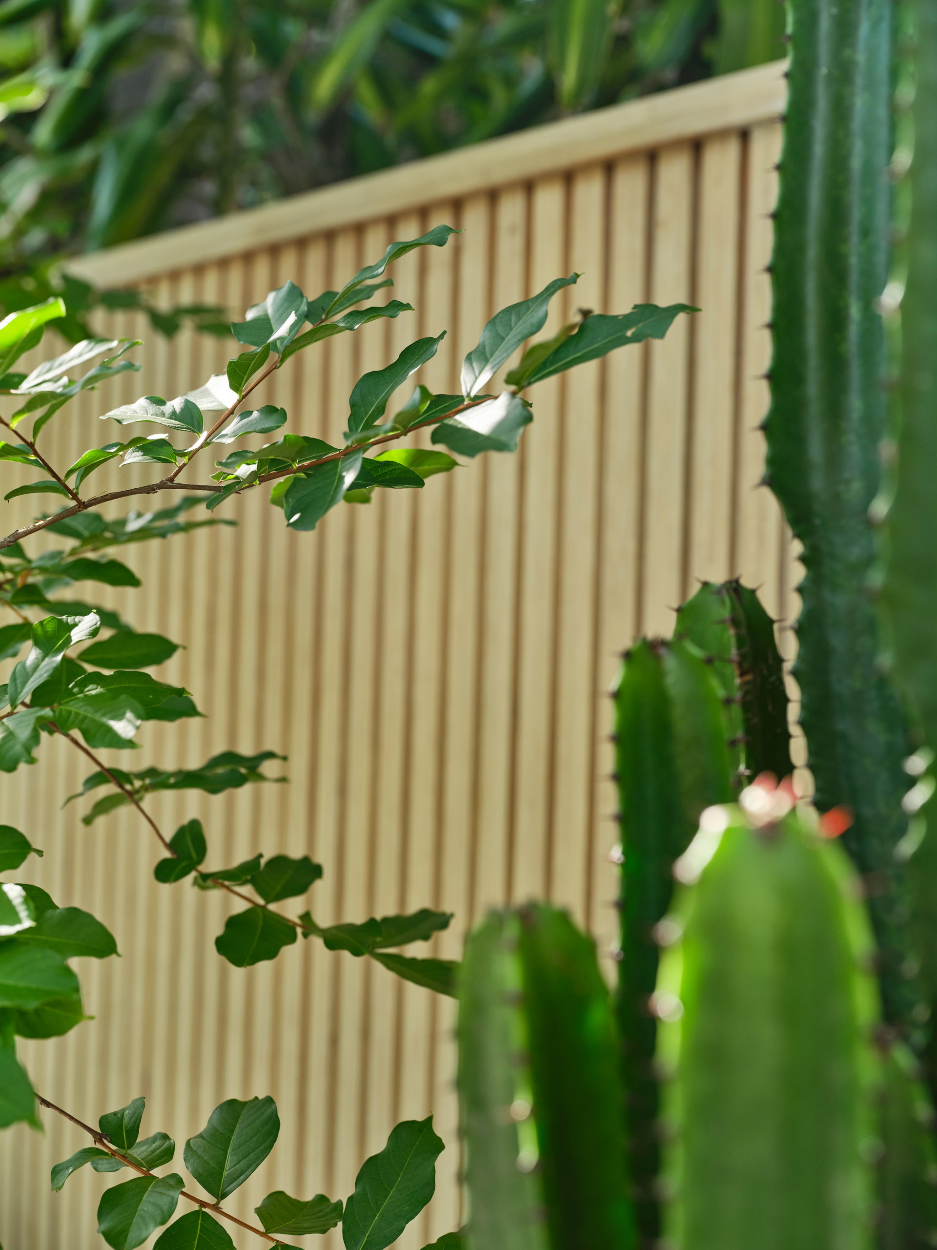 Pepo Botanic Design Boundary Fence