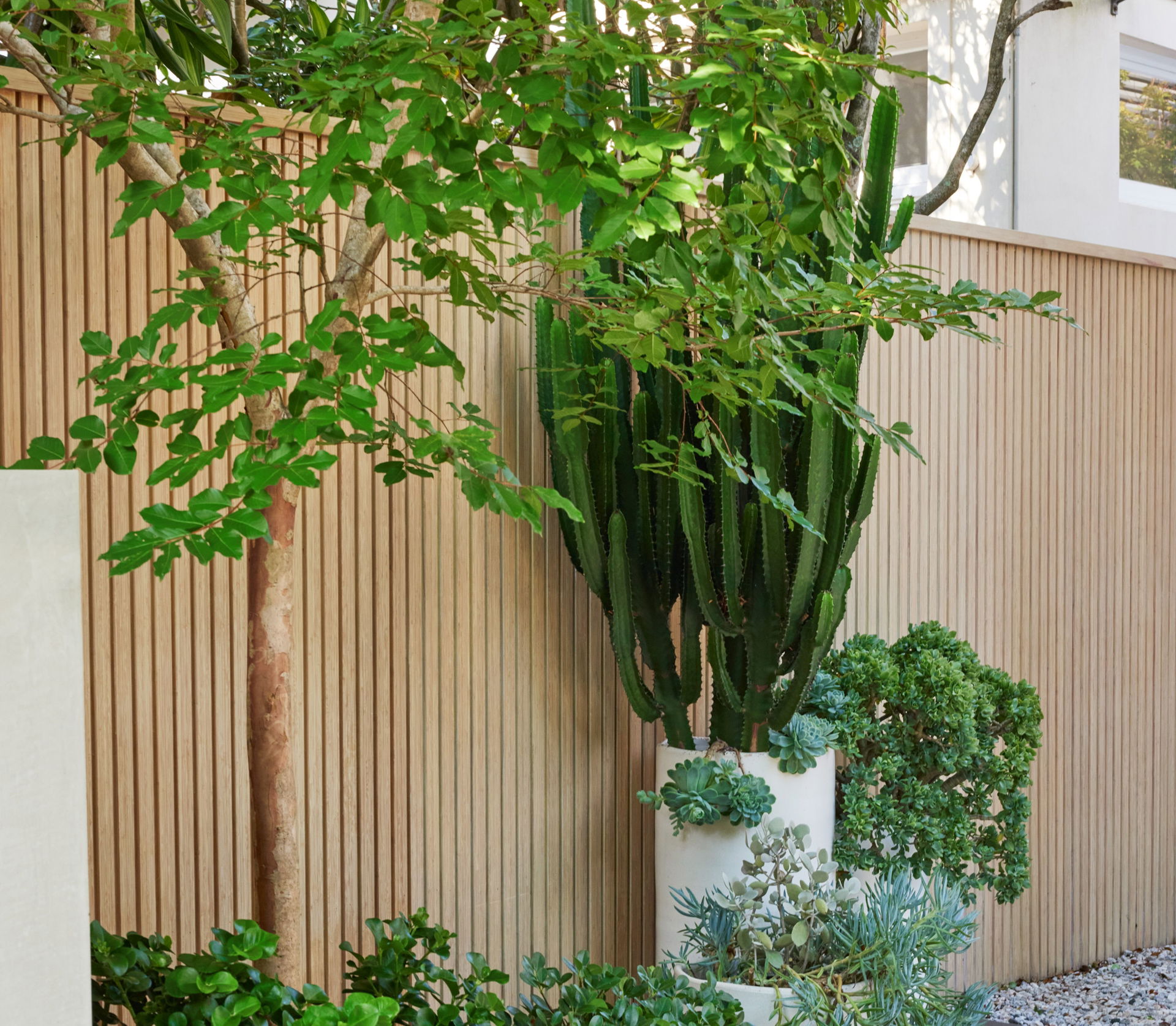 251209_Pepo_31MarketSt__PePo Botanic Design_Fence_Cello 2_photo by Pepo and Nick Bowers_photo by Pepo and Nick Bowers_Randwick_0349 (2).jpg
