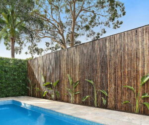 Aesthetic Versatility