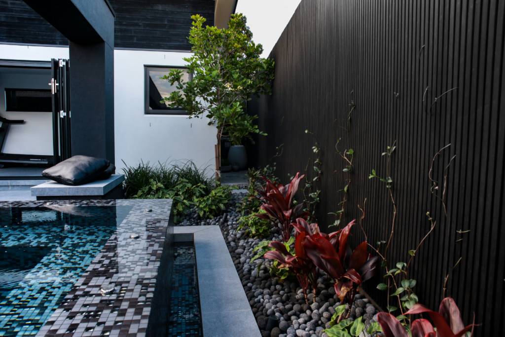 Backyard Transformation