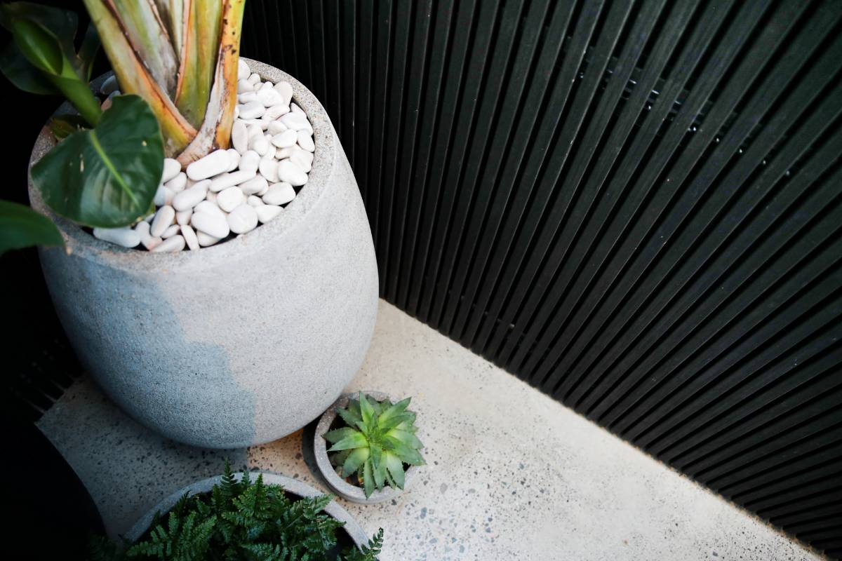 Backyard Transformation