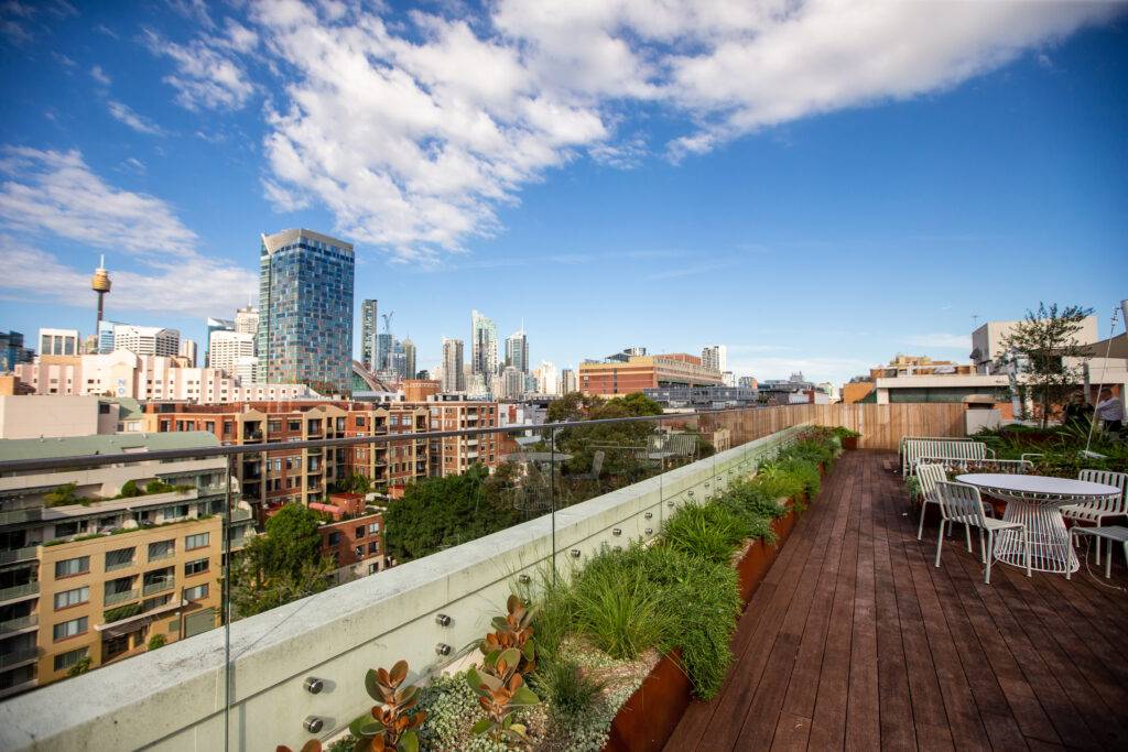 Bamboo Decking at The Pyrmont