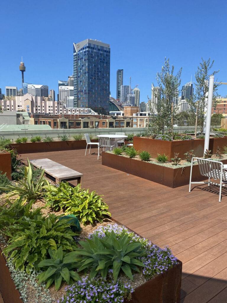 Bamboo Decking at The Pyrmont