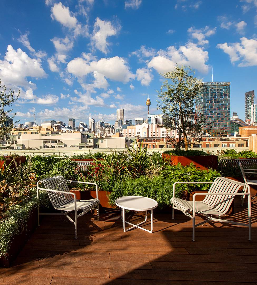 Bamboo Decking at The Pyrmont