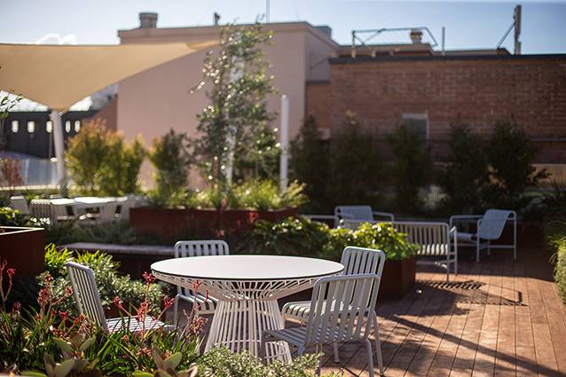 Bamboo Decking at The Pyrmont