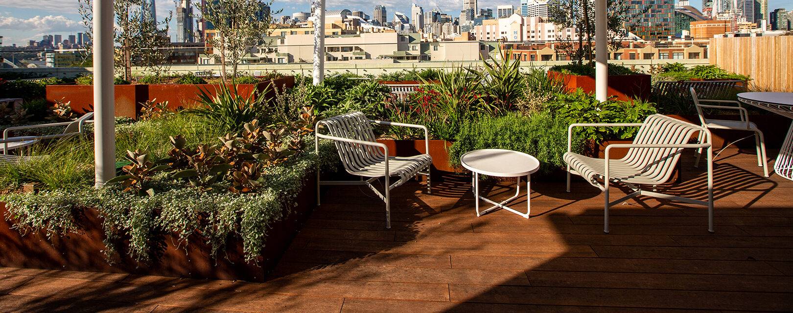 Bamboo Decking at The Pyrmont