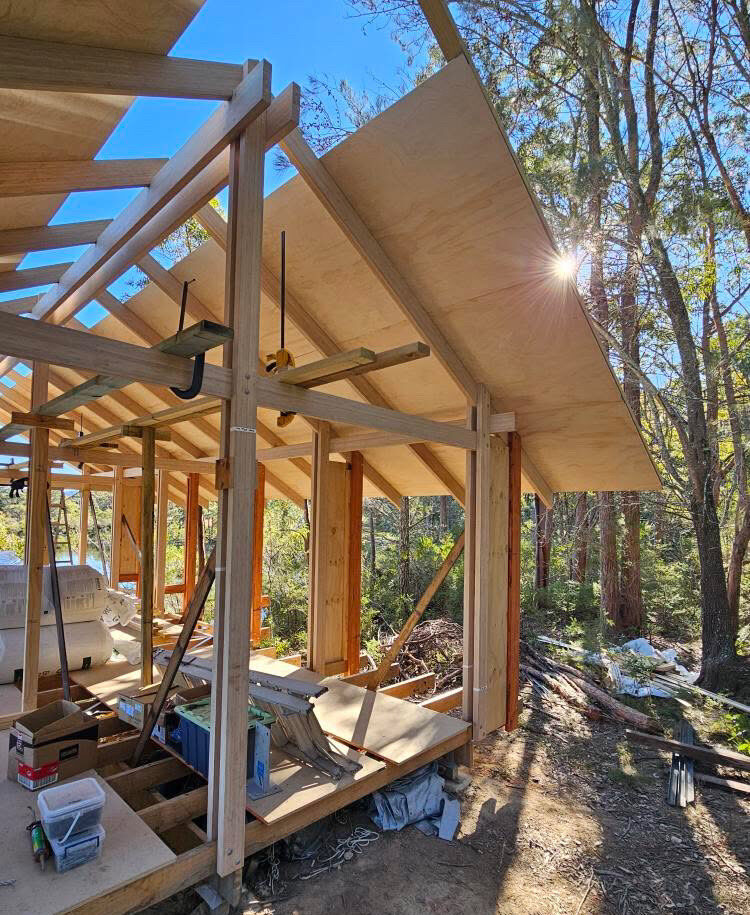 Bamboo as the Right Material for This Moment