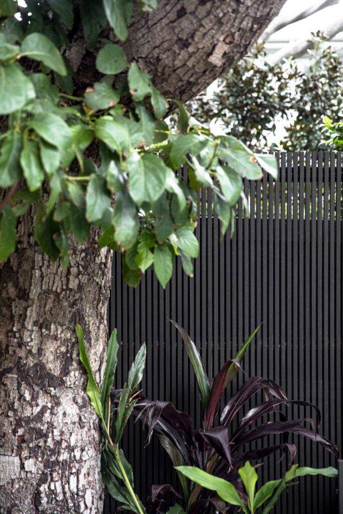 Black Boundary Fence