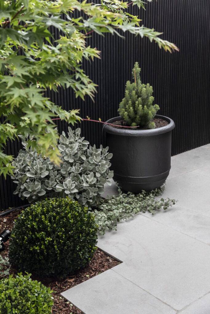 Black Boundary Fence