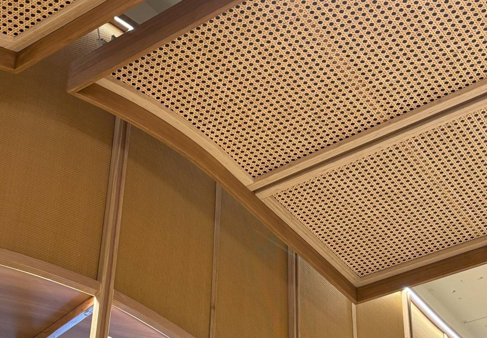 Ceilings at Chatswood Chase