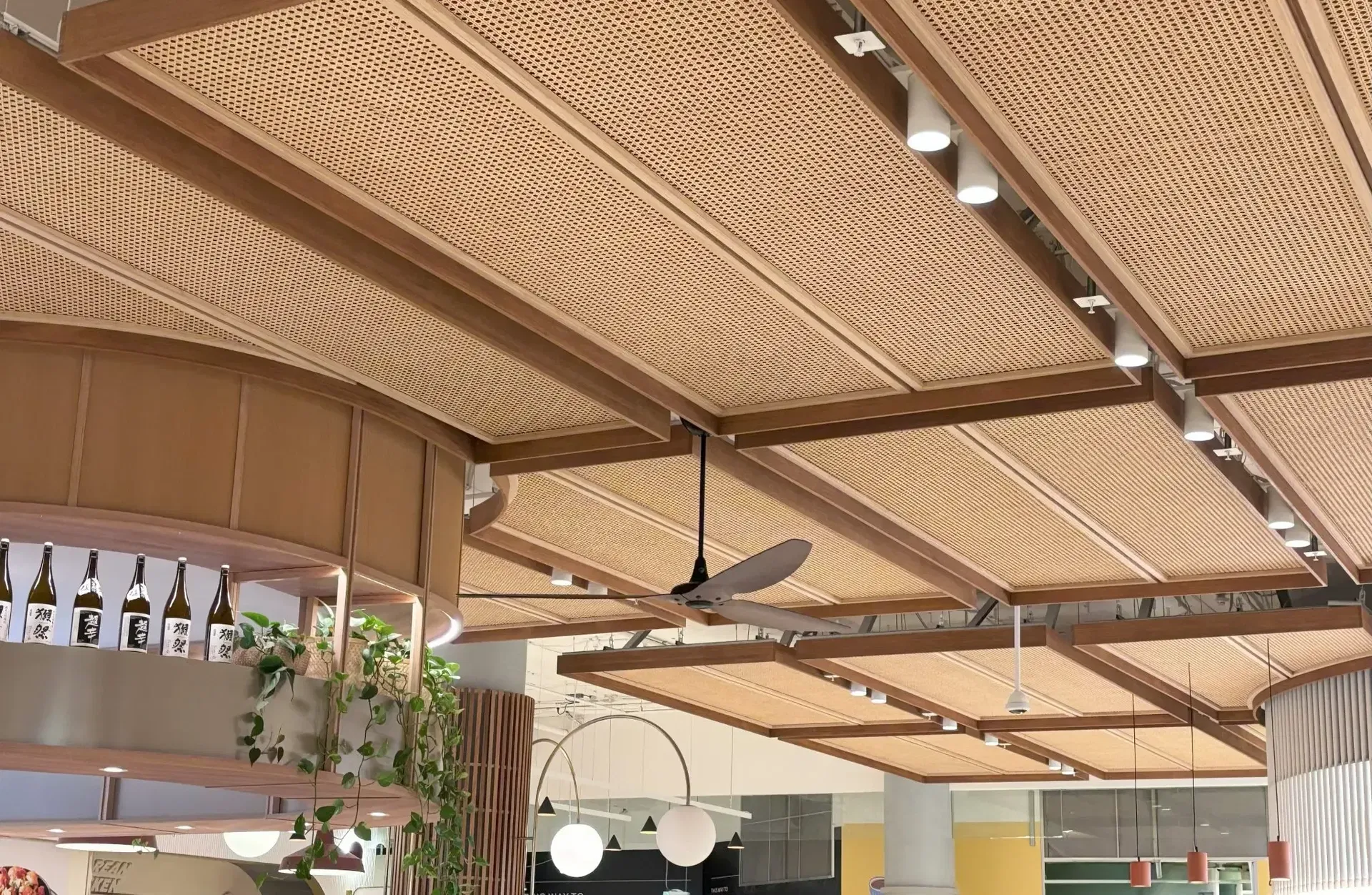 Ceilings at Chatswood Chase