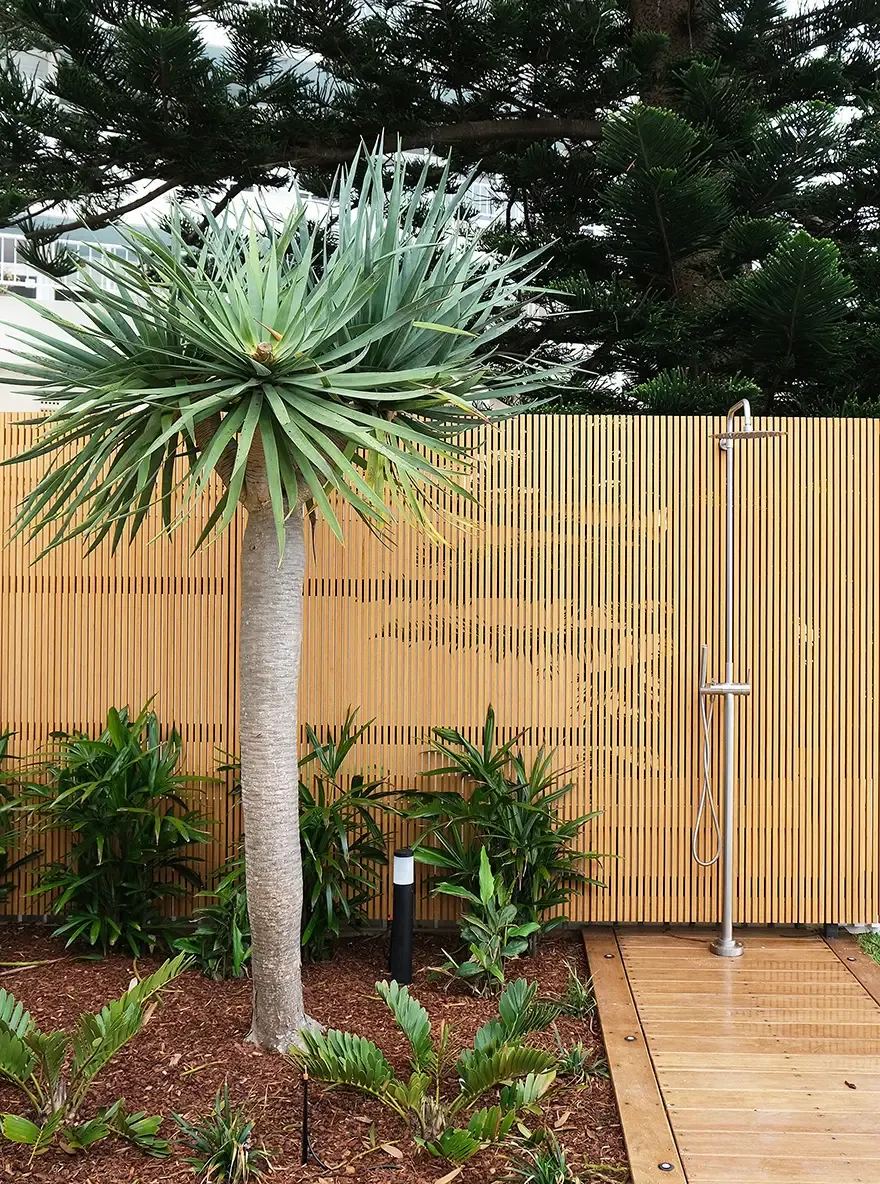 Collaroy House Project