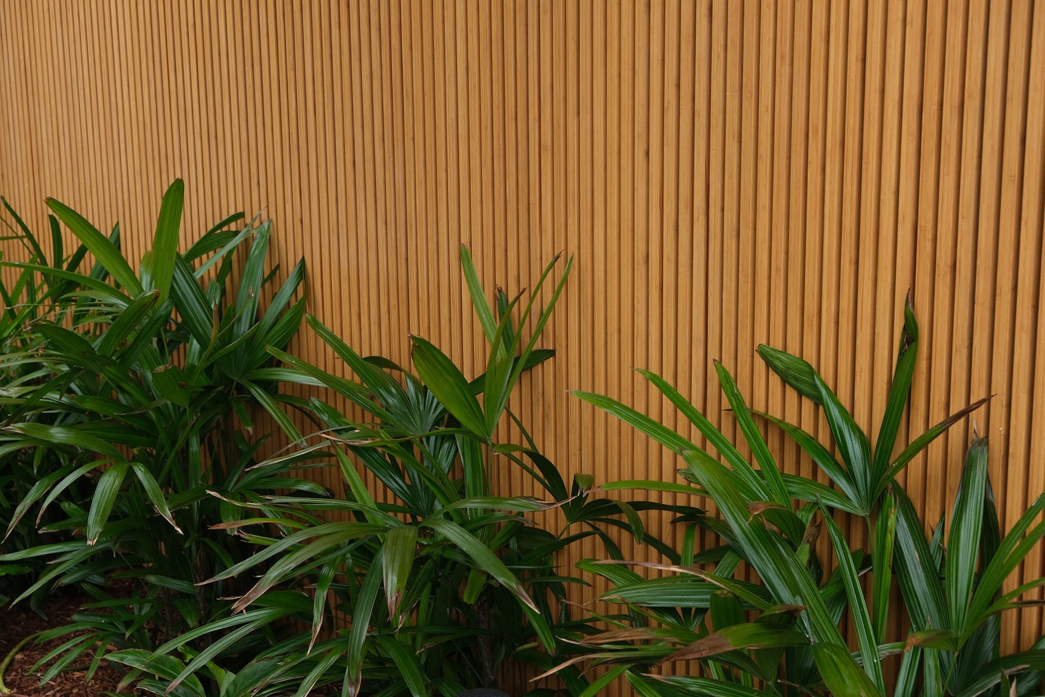 Collaroy House Project