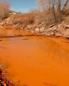 Ecosystem Restoration and Biodiversity Recovery