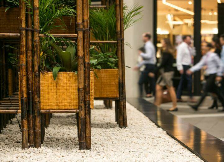 Green Ladder, Barangaroo