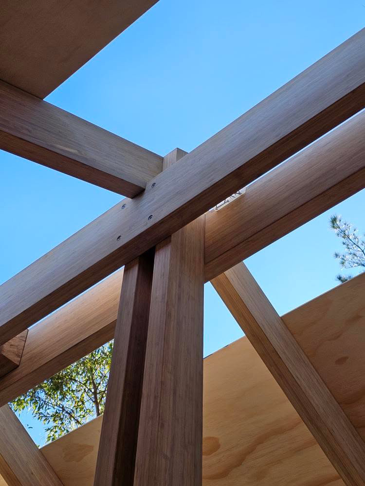 Project Demonstrating Bamboo’s Viability