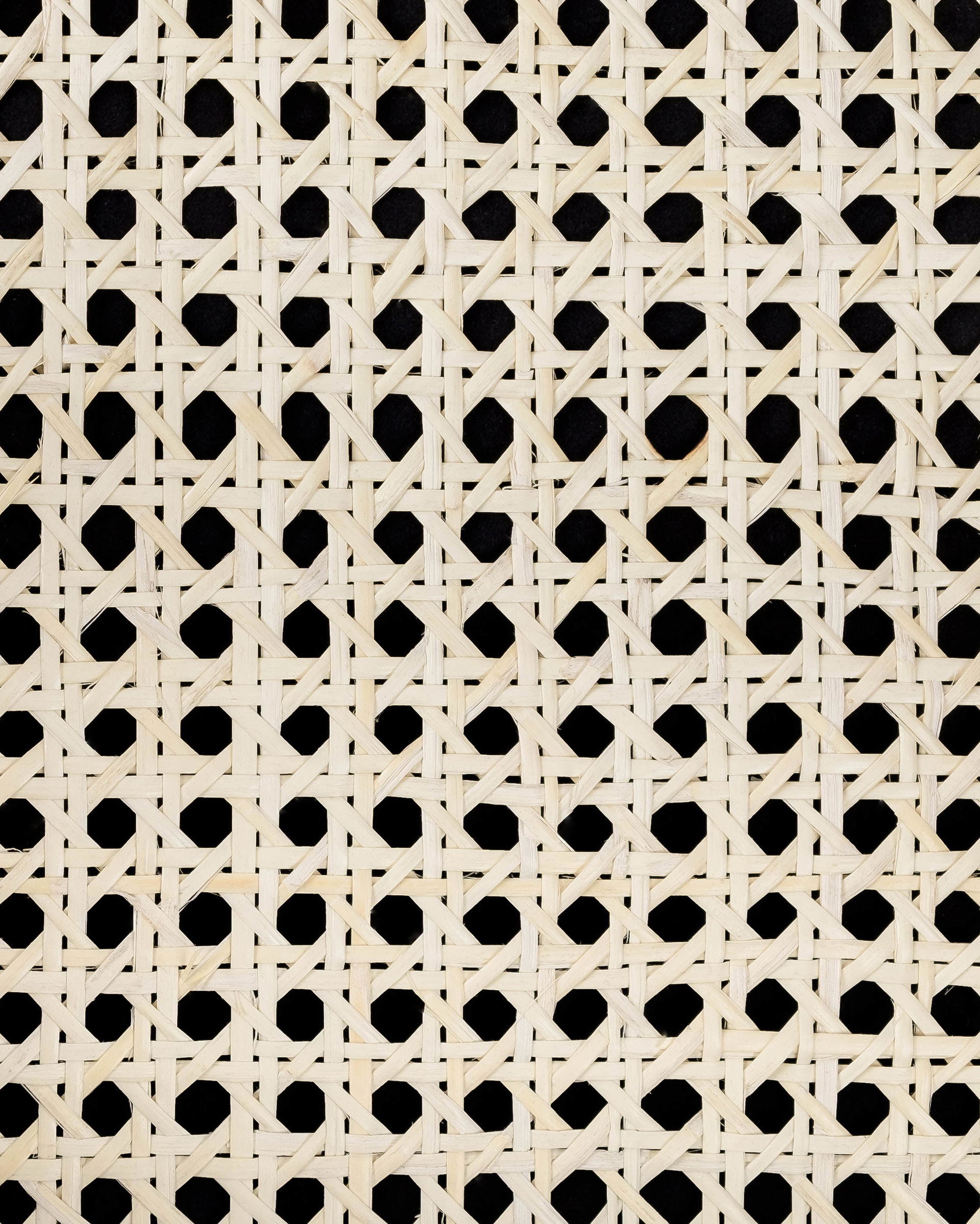 cw-168-ivory_sample-front