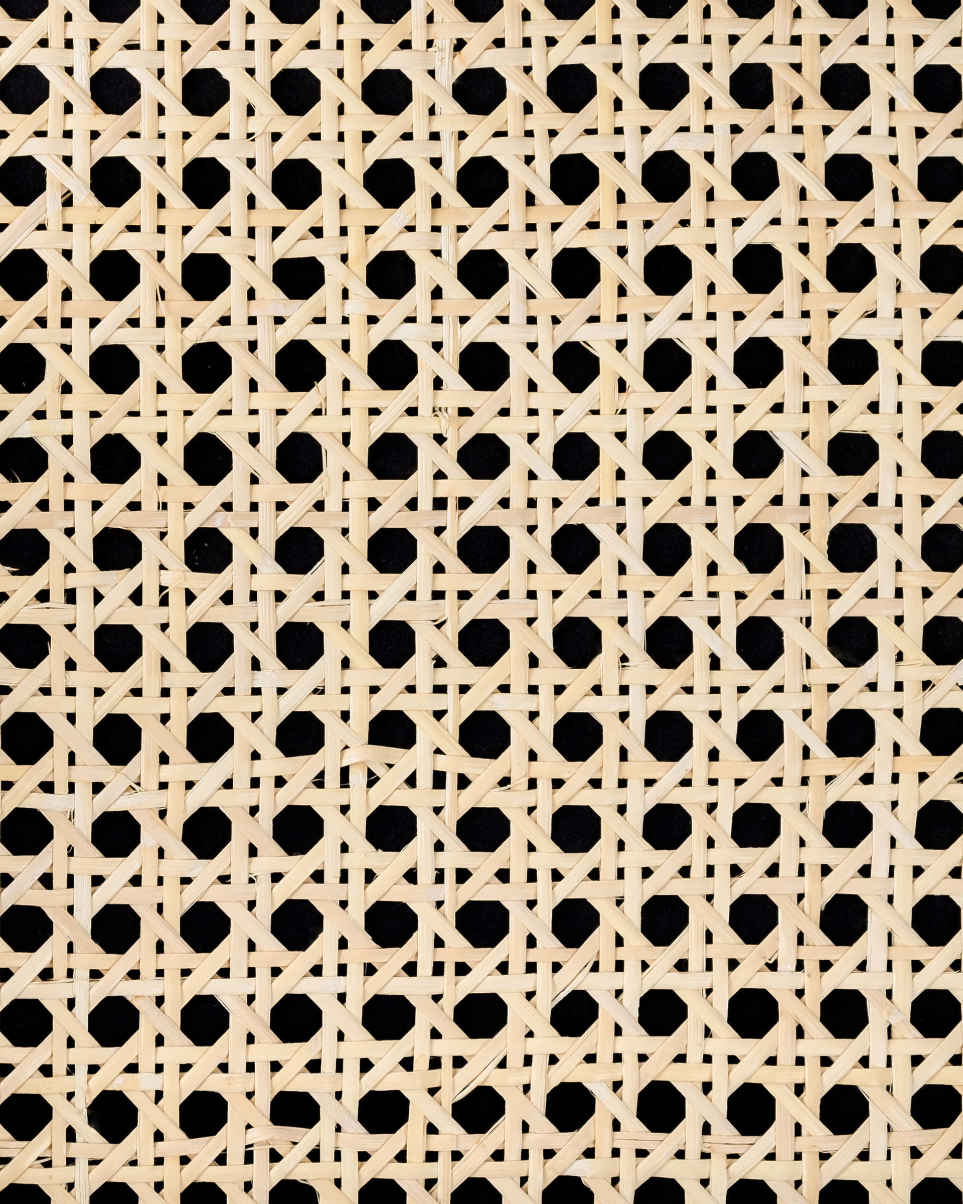 cw-168-light_sample-front