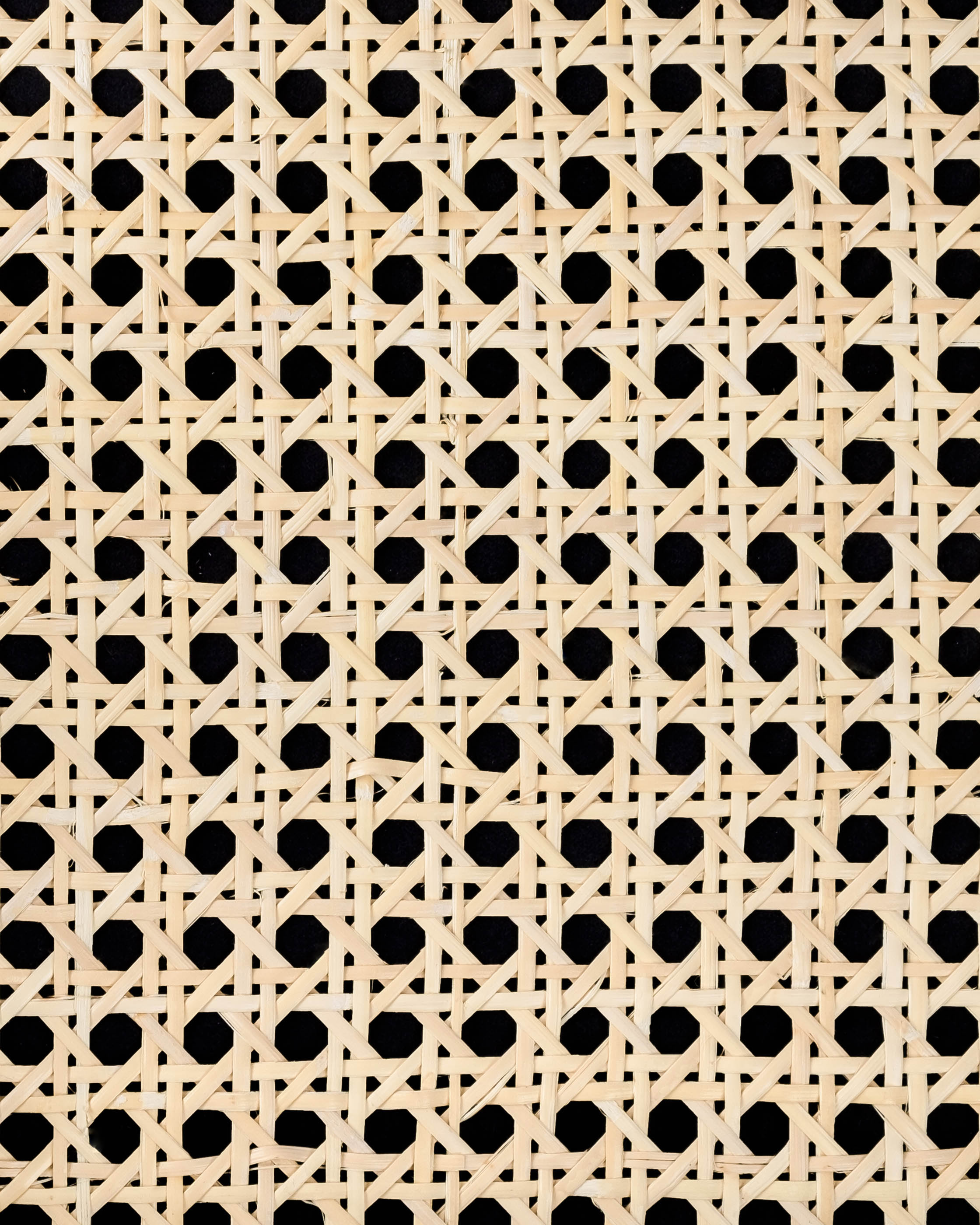 cw-168-light_sample-front