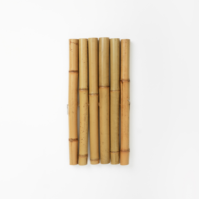 Rod Screen Carbonized Light