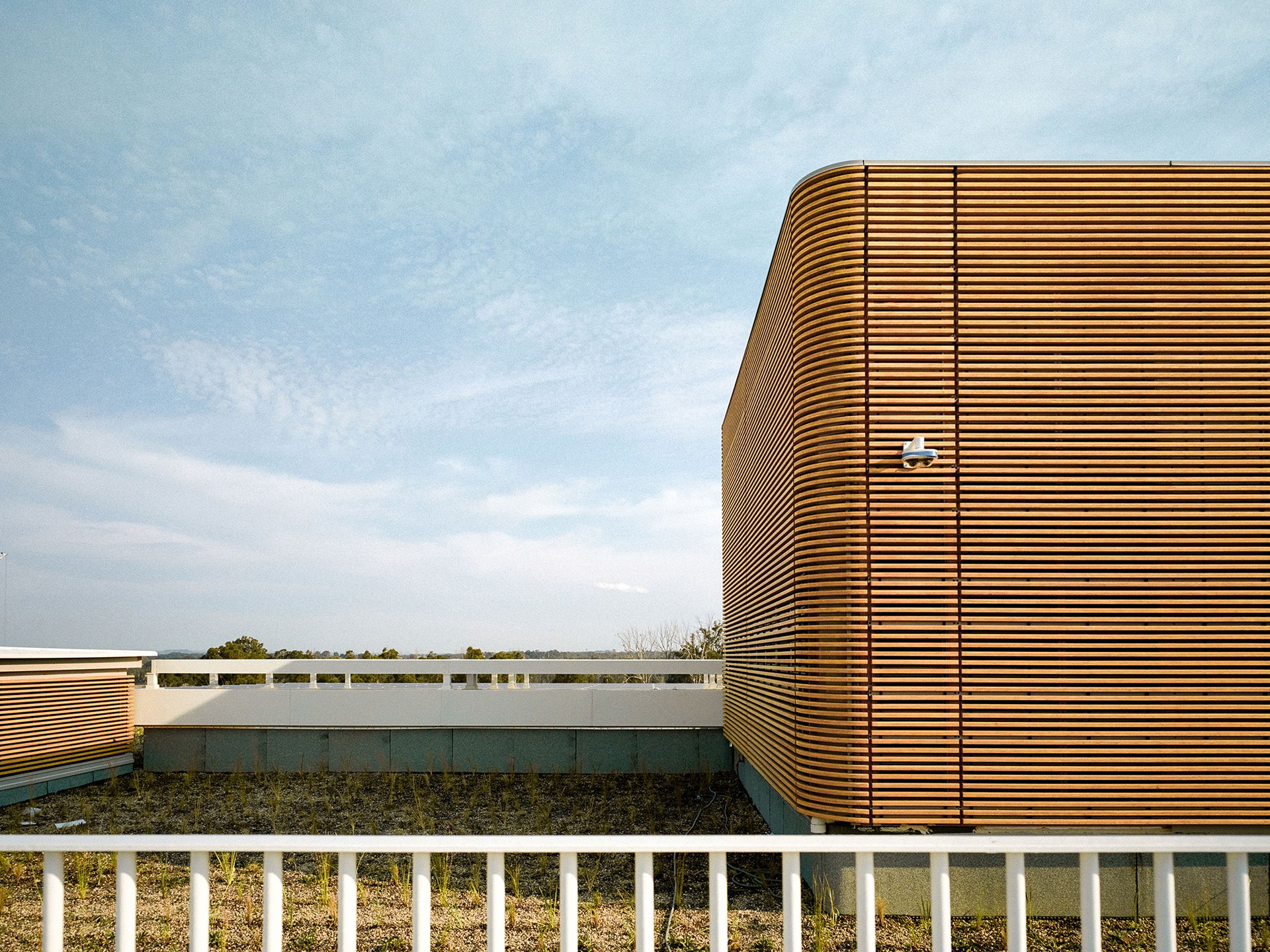 bamboo facades cladding