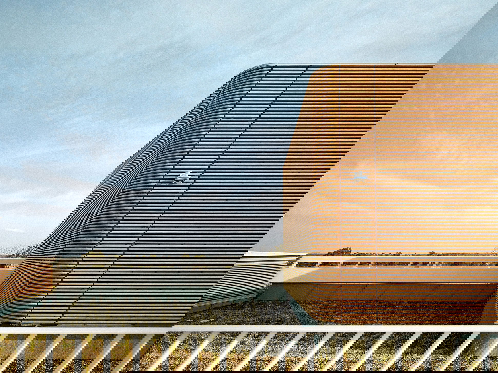 bamboo facades cladding