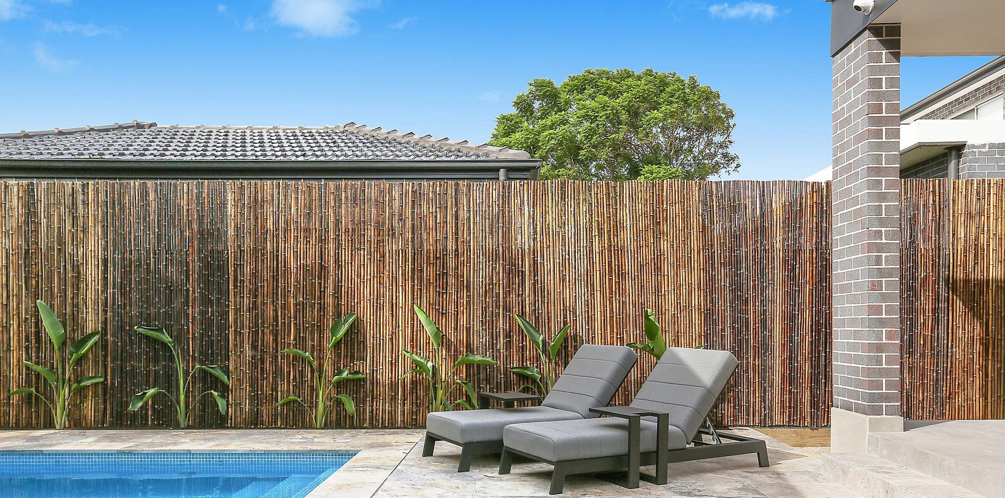 bamboo pool compliant fencing