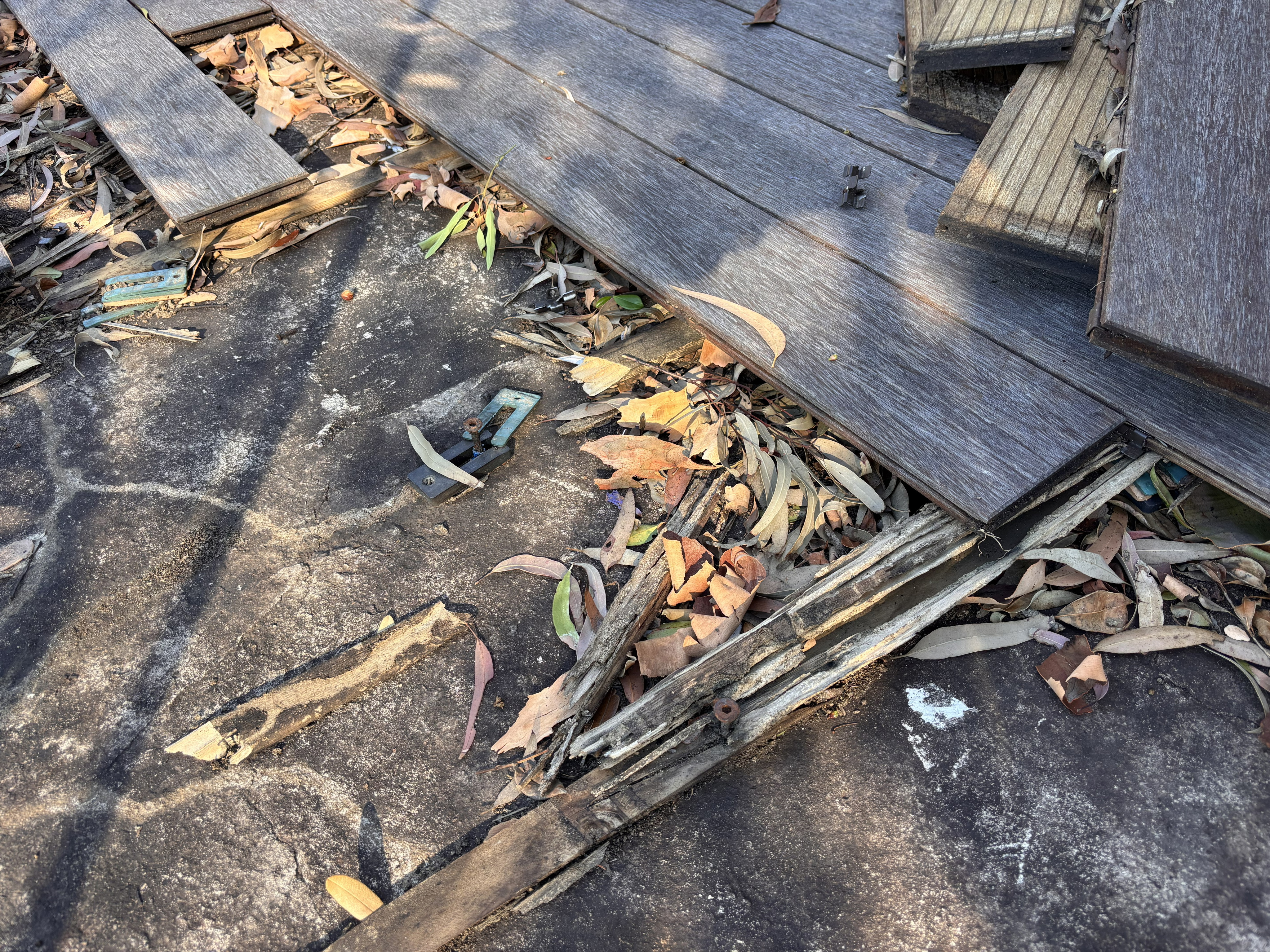 Oatley House Termites 