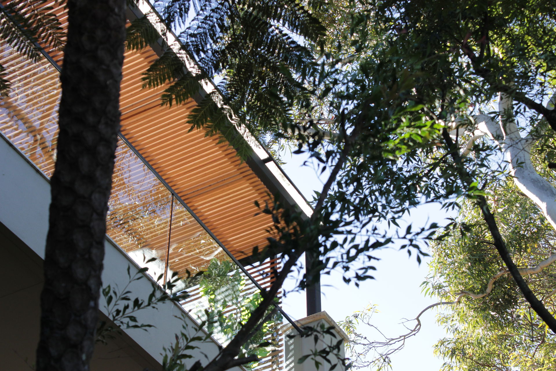 Seachange-cottesloe-teak-Seachange-noosa-teak-batten-screen_elanora-heights_house-of-bamboo_72 (1).JPG