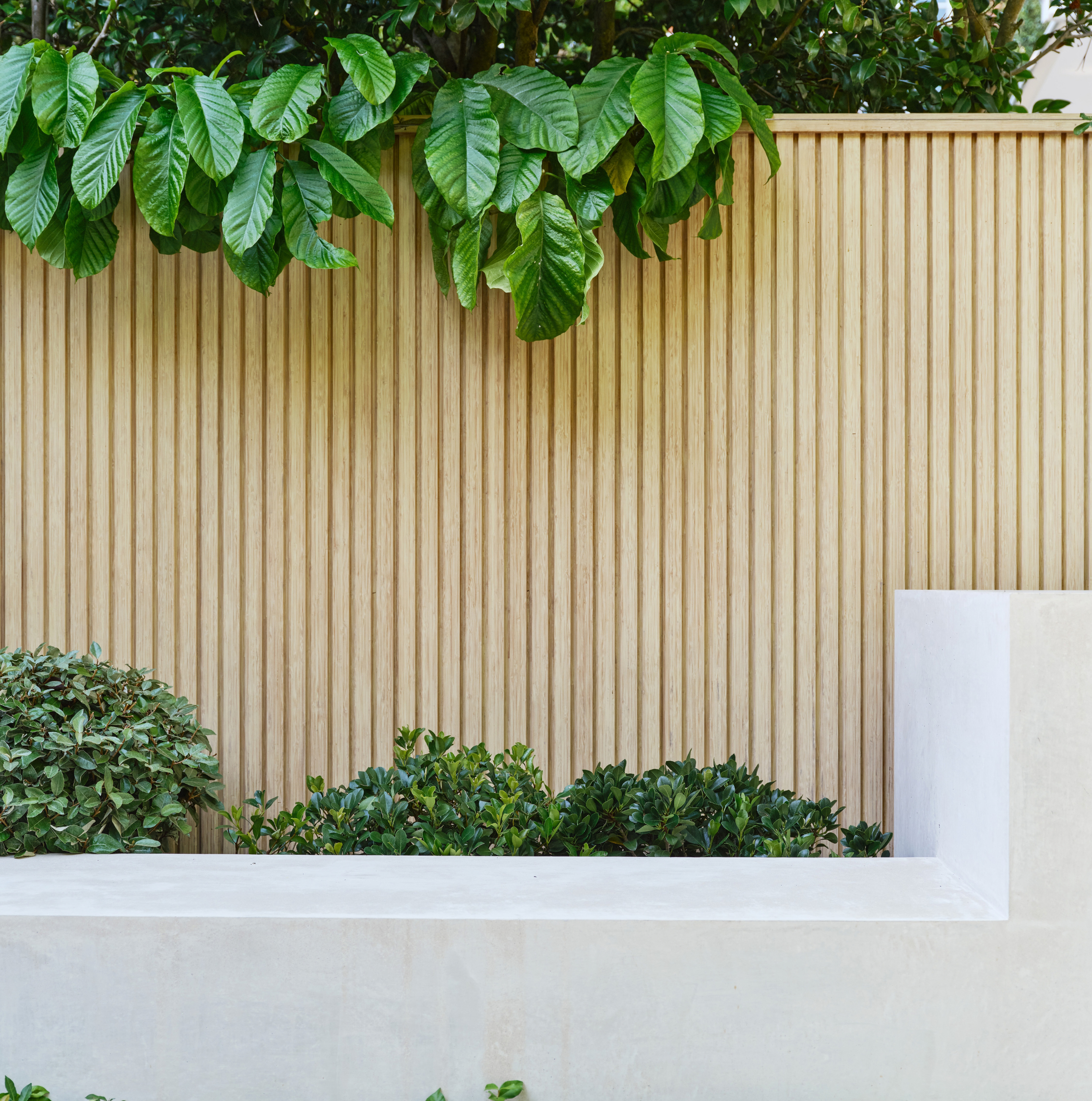 Pepo Botanic Design